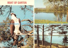 D127722 boat garten for sale  WARLINGHAM