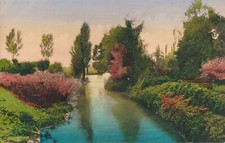 Pc66054 old painting. for sale  MAIDSTONE