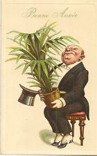 plante verte d'occasion plante verte d'occasion Expédié en Belgium