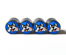 Siberian husky puppy for sale  Oldsmar