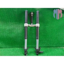 Forcella steli piastre usato  Napoli