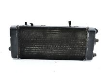 Radiatore acqua radiator usato  Italia