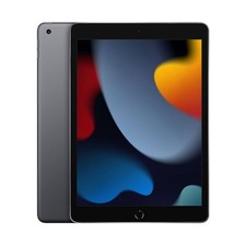 Apple ipad 10.2 usato  Vimodrone