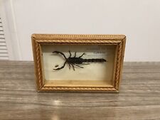 Vintage real fattail for sale  UK