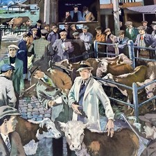 Rural cattle market for sale  COLEFORD