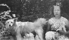 Vintage photo cute for sale  El Cerrito