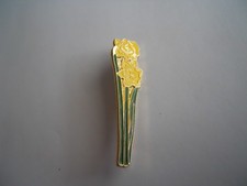 Daffodil national emblem for sale  WOLVERHAMPTON