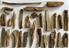 Small driftwood pieces for sale Small driftwood pieces for sale  CLACTON-ON-SEA