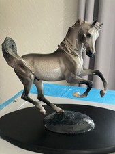 Arabian equine collection for sale  Anchorage