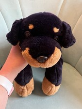 Keel bruno dog for sale  UK