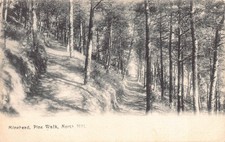 Minehead pine walk for sale  MUSSELBURGH
