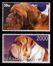 Dogue bordeaux french d'occasion  Expédié en Belgium