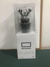 pachypodium geayi d'occasion pachypodium geayi d'occasion Expédié en Belgium