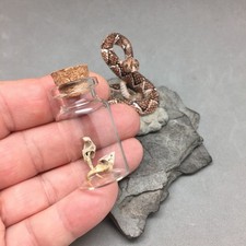 Real rattlesnake fangs for sale  Anna