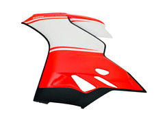 Carena ducati panigale usato  Gambettola