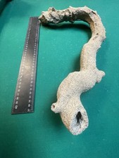 Fulgurite folgorite serpent d'occasion  Riedisheim