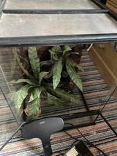 Eco terra large for sale  PENZANCE