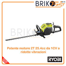 Ryobi tagliasiepi scoppio usato  Brancaleone