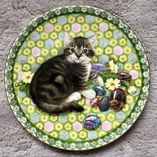 Meet kittens lesley for sale  CHESTER LE STREET