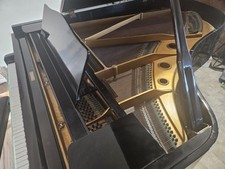 Yamaha grand beautiful for sale  Princeton