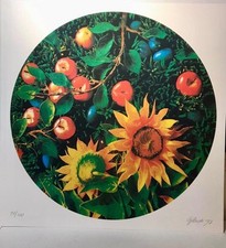 Gilardi piero serigrafie usato  Zandobbio