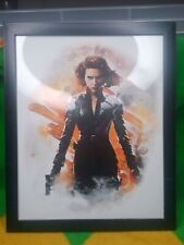 Black widow framed for sale  Colorado Springs