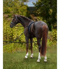 Rênes longues dressage d'occasion  Expédié en France