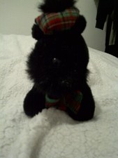 Heather black scottie for sale  SOUTH SHIELDS