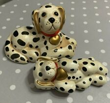 Coppia cane dalmata usato  Bari