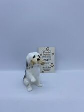 old puppies sheepdog english for sale old puppies sheepdog english for sale WORCESTER