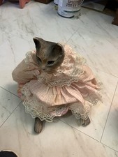 porcelain cat doll for sale  Lexington