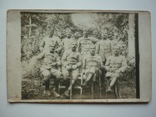 Photo poilu crespe d'occasion  Bailleul