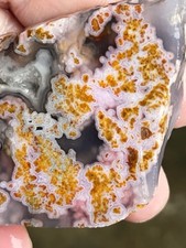 Mexico calico lace for sale  Clarksville