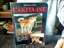 Akita inu tillet d'occasion  Dirinon