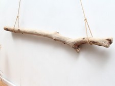 Treibholz ast 82cm gebraucht kaufen  Bad Schandau