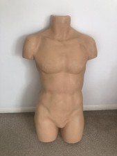 Male mannequin torso for sale  GAINSBOROUGH