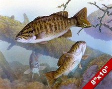 Small mouth bass for sale  South Jordan