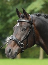 Busse schwarz pony gebraucht kaufen  Siegen