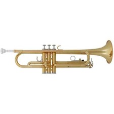 Yamaha ytr 2330 usato  Alife