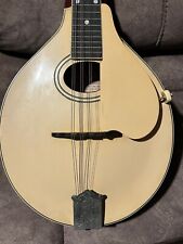 1919 gibson mandolin for sale  Schenectady