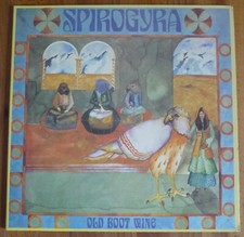 Spirogyra old boot usato  Ivrea