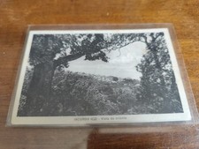 Iacurso catanzaro cartolina usato  Tortorella