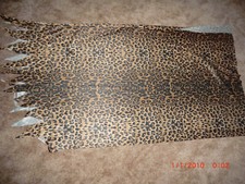 Stoff leo look gebraucht kaufen  Kaltenkirchen
