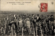 Champagne weinlese 4484008 gebraucht kaufen  Berlin