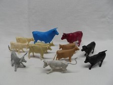 cows bull for sale cows bull for sale Elkhorn