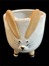 Small bunny rabbit for sale  Milwaukee