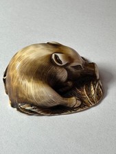Netsuke japonais sanglier d'occasion  Toulouse-