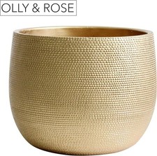 Olly rose barcelona for sale  SALFORD