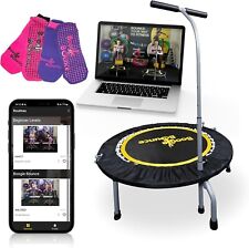 Boogie bounce rebounder for sale  BIRMINGHAM