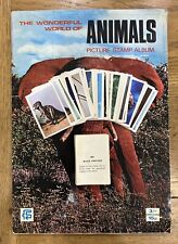 Fks wonderful animals for sale Fks wonderful animals for sale  RUISLIP